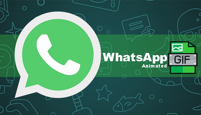 How to Make GIF Images From Videos In WhatsApp