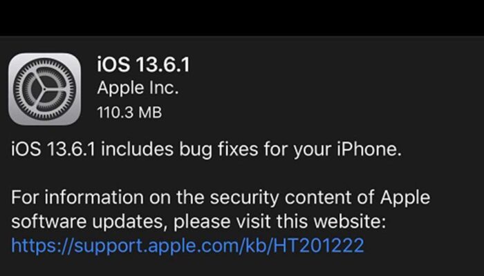 iOS and iPad OS 13.6.1 update
