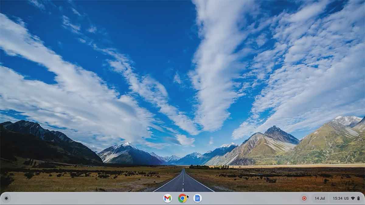 Chrome OS Flex Screenshot 1